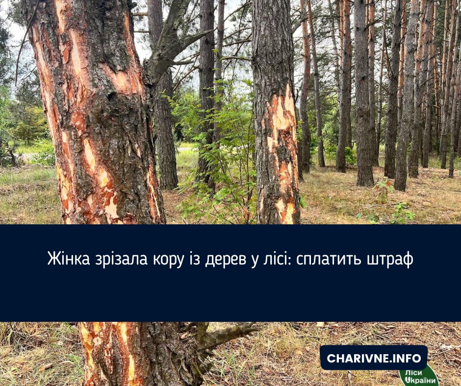 Фото ілюстративне